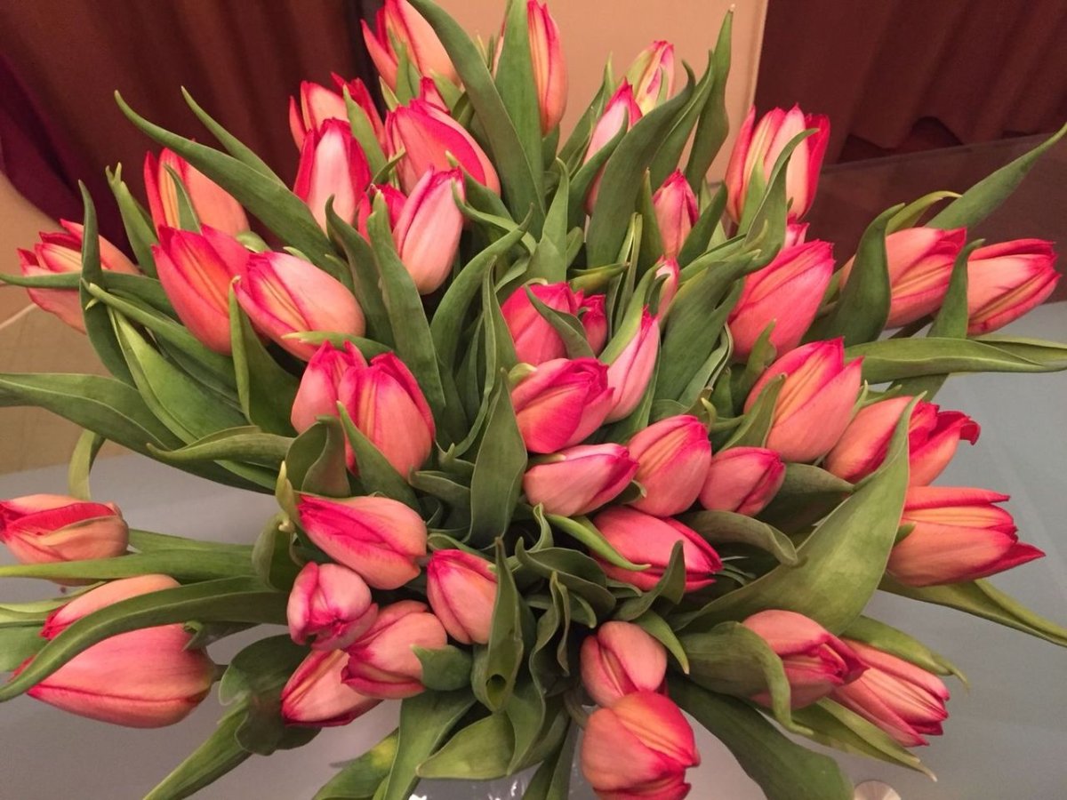 Самый красивый букет тюльпанов