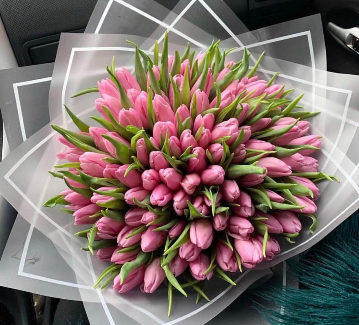 Тюльпановидные пионы