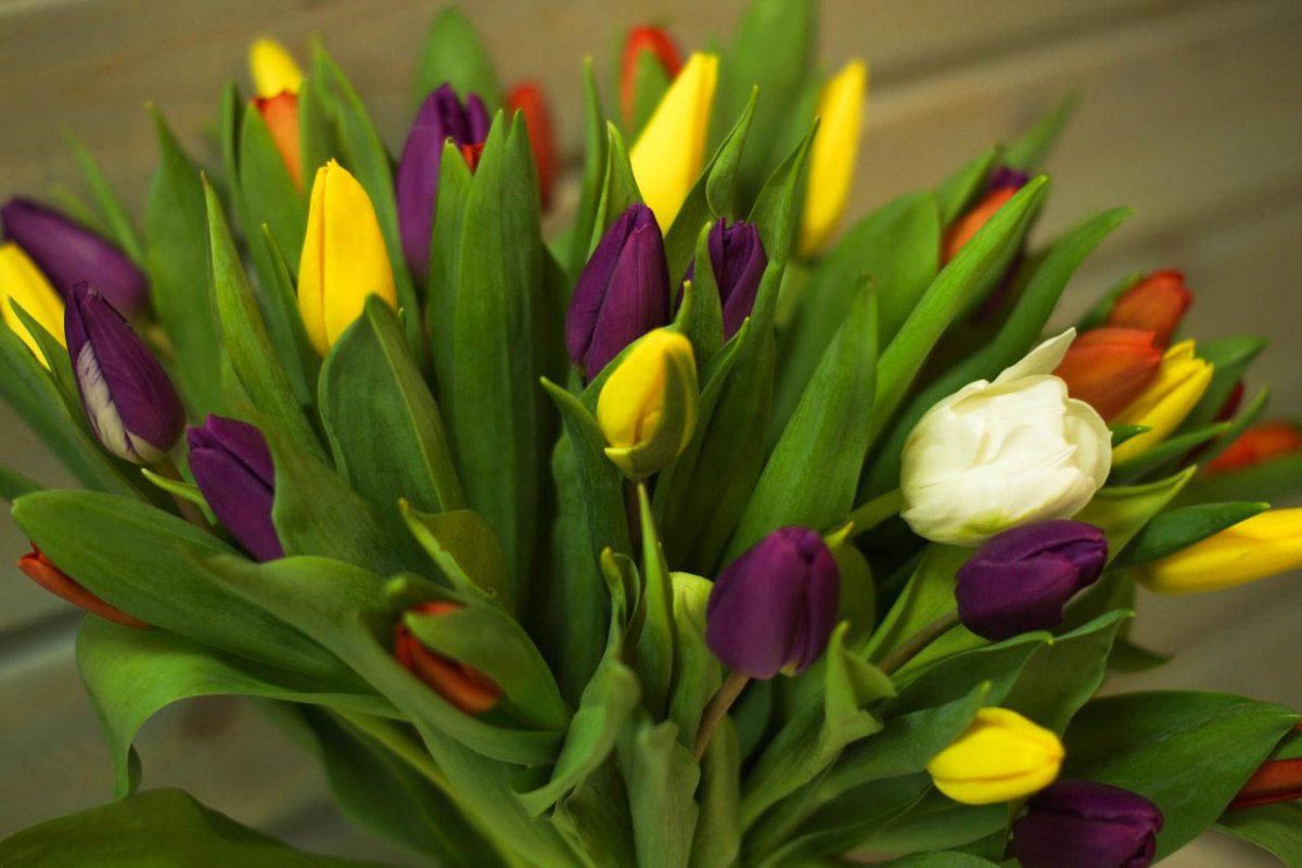 45 Тюльпанов букет