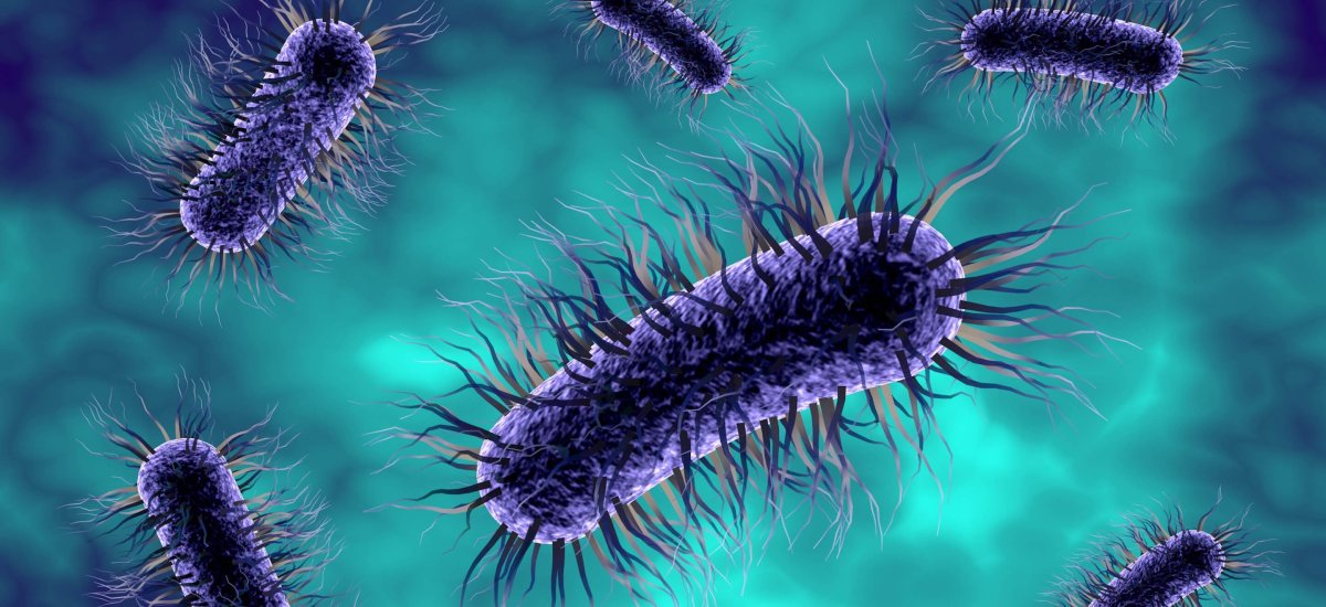 Самый опасный микроб в мире