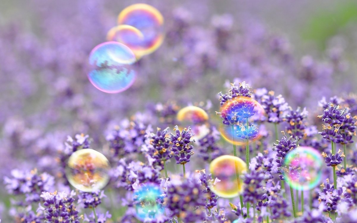 Мыльные пузыри и цветы