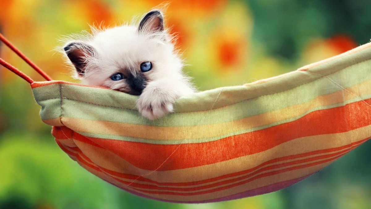 Позитивные картинки