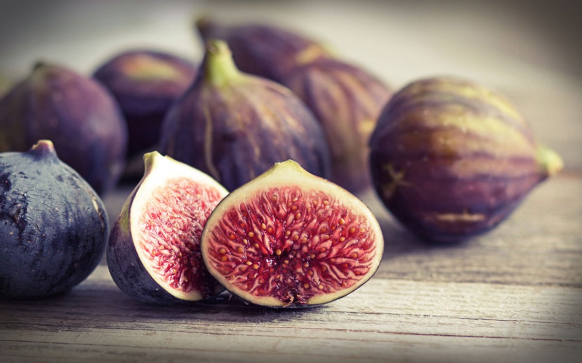 Инжир среднеазиатский