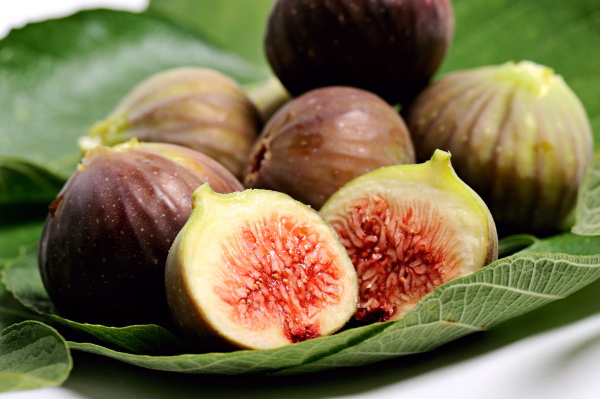 Иранский инжир