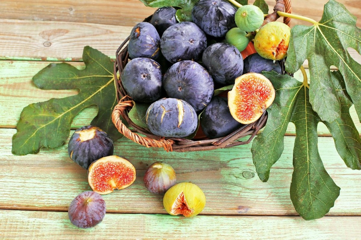 Турецкий инжир