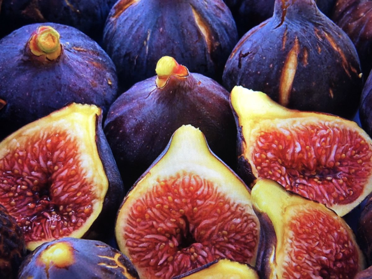 Различия инжира и луковицы