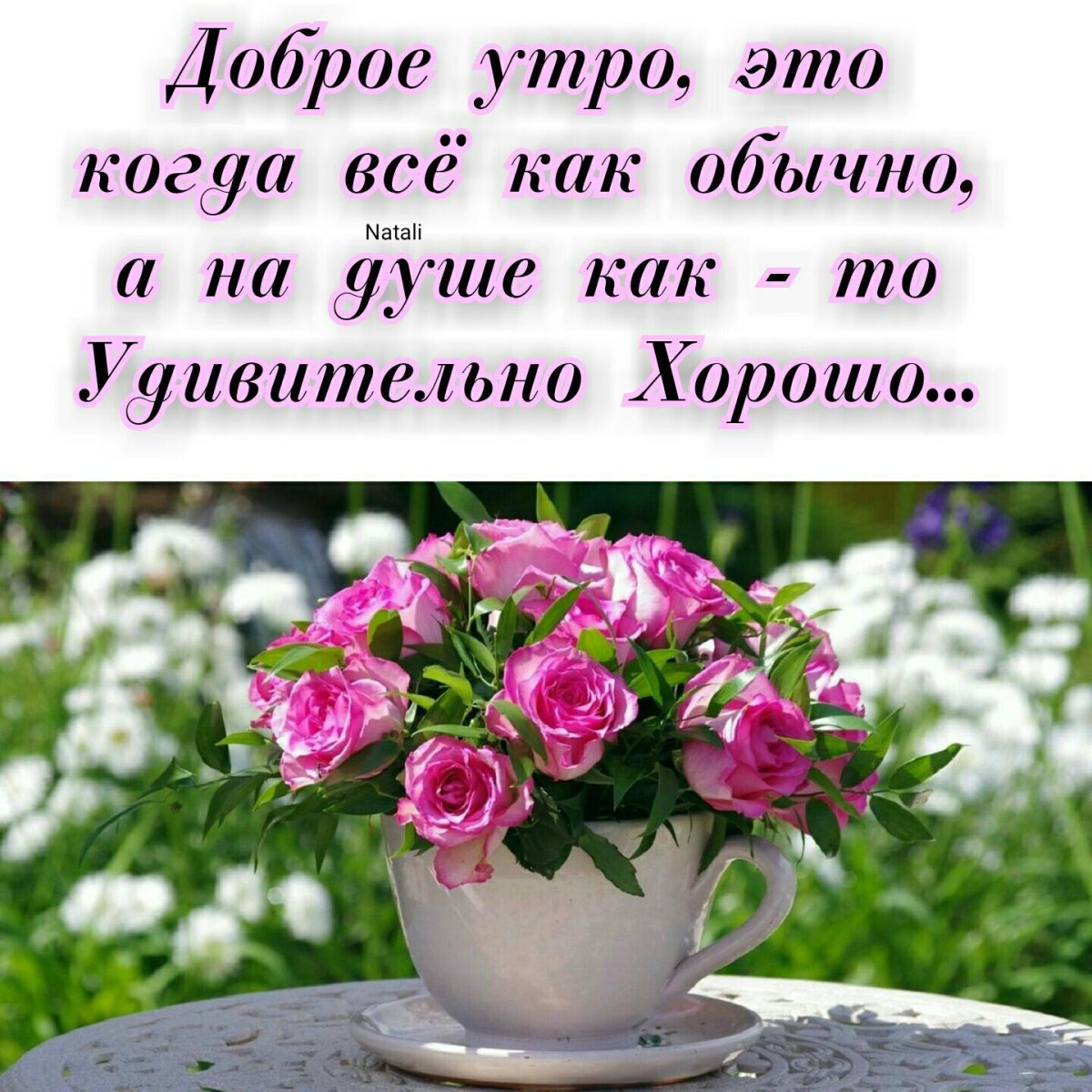 Доброе утро цитаты