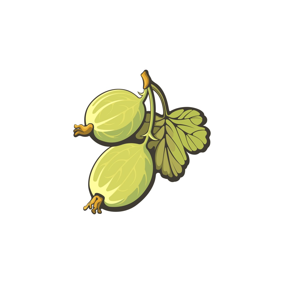 Рамка крыжовник