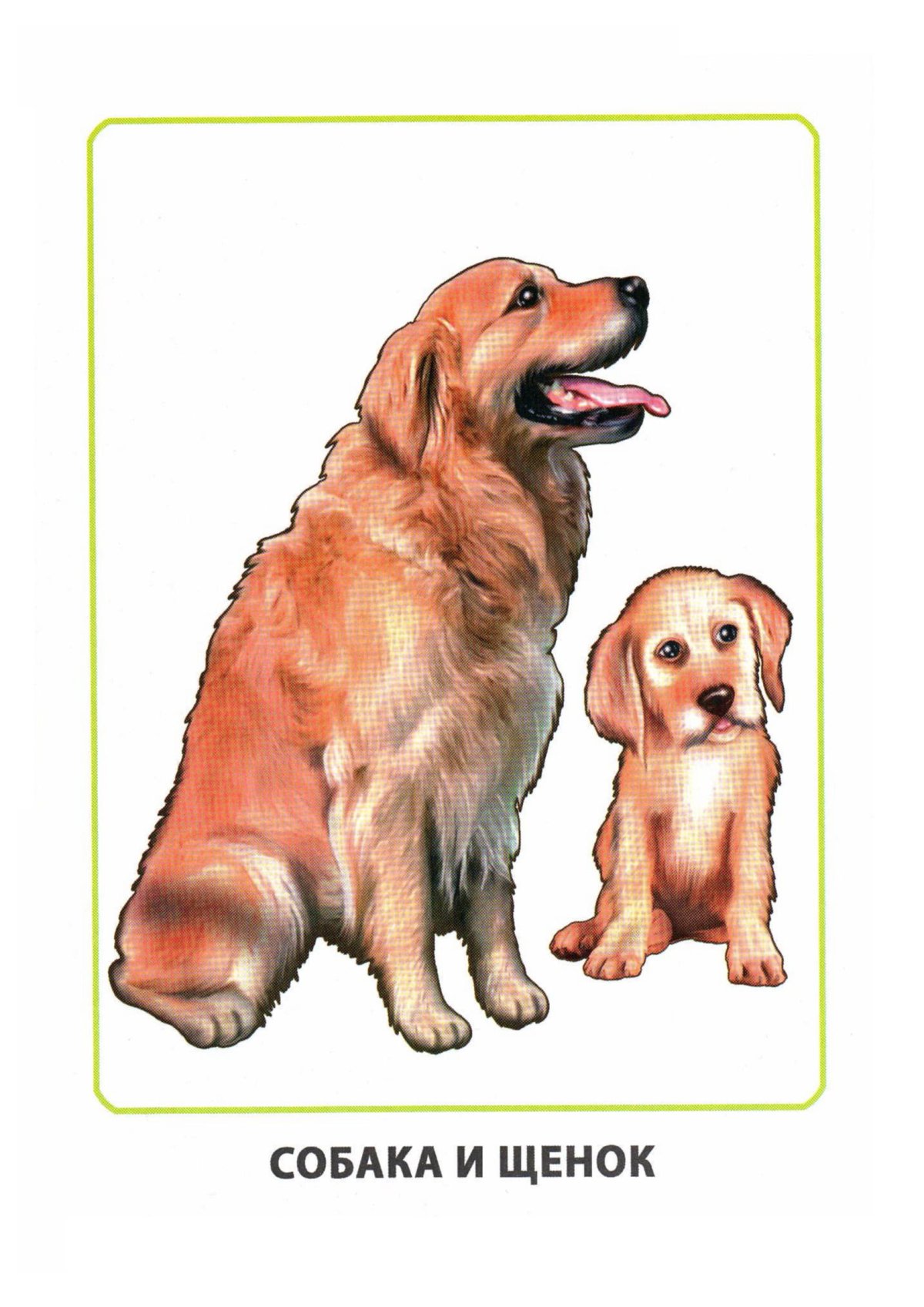 Собачка для детей дошкольного возраста