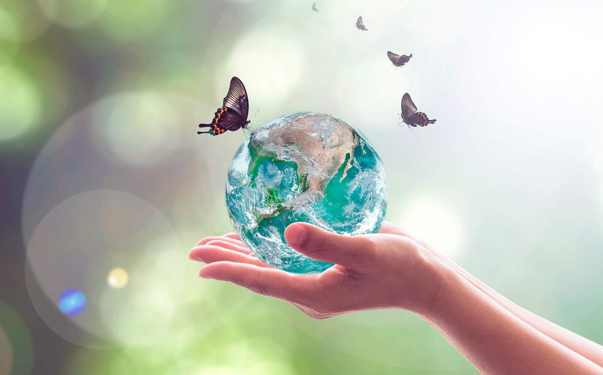 Планета экология