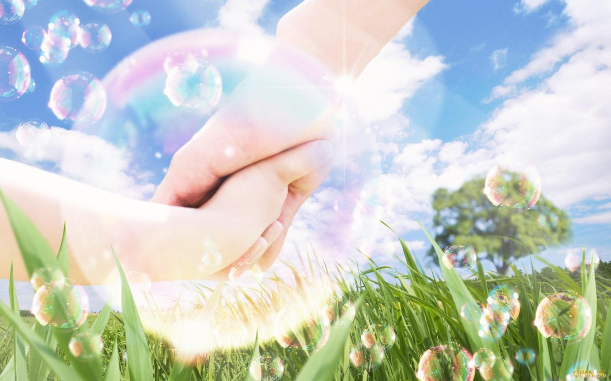 Прекрасный мир в руках