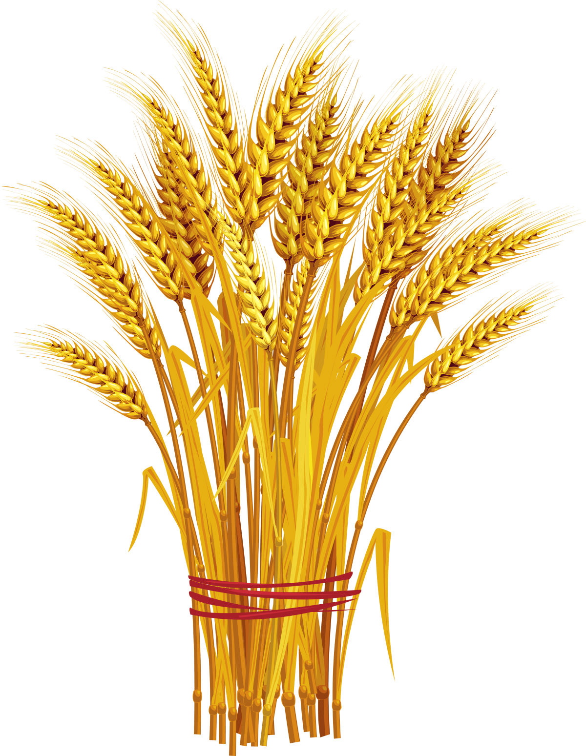 Пшеничка колосок