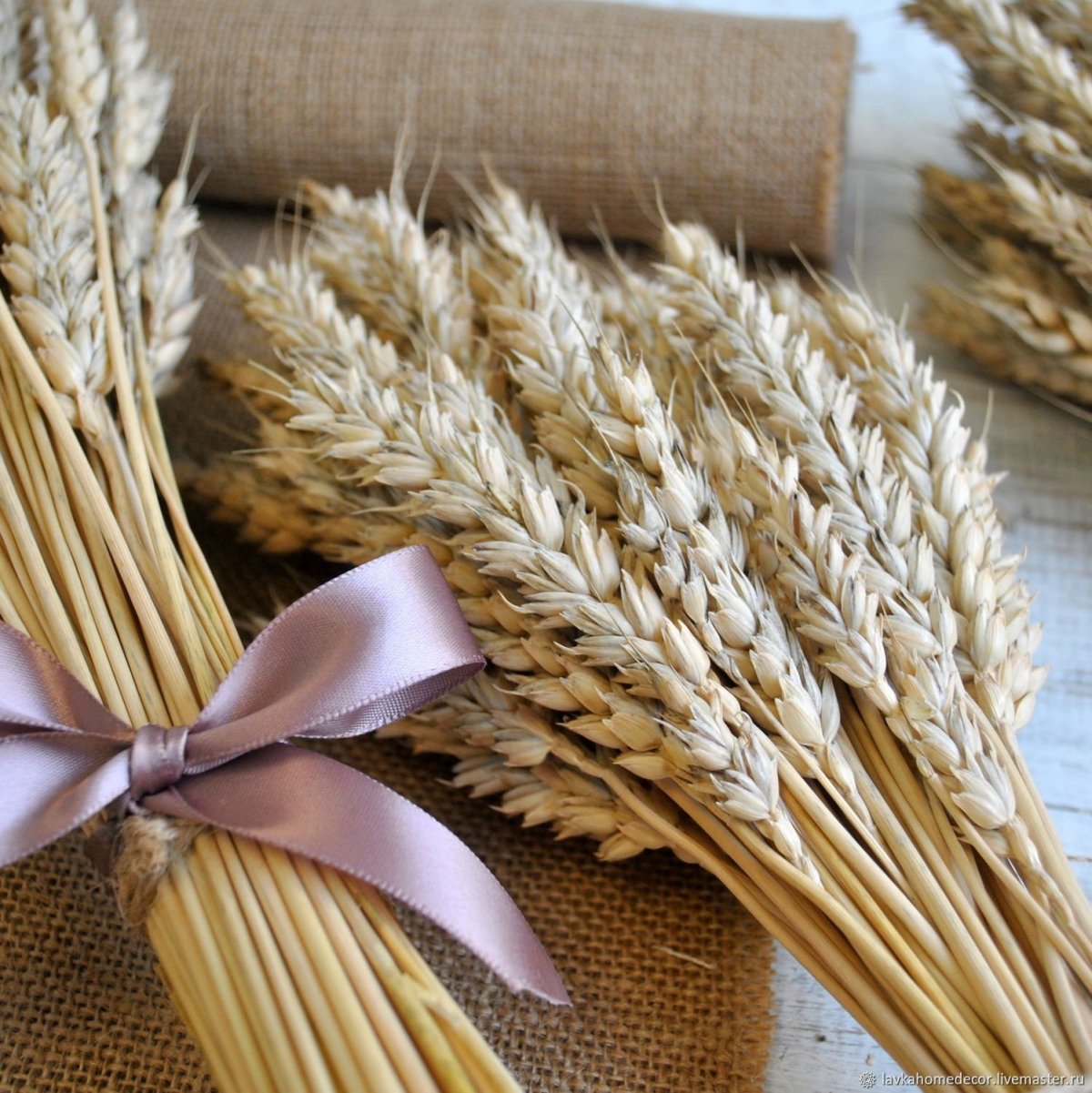 Пшеничка колосок