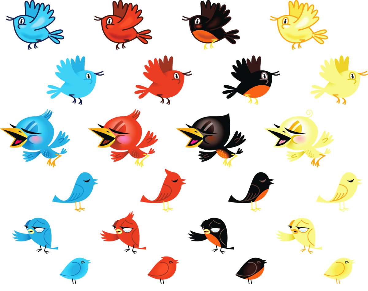 Много птичек мультяшных