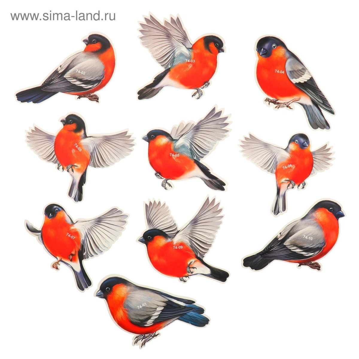 Снегирь на белом фоне