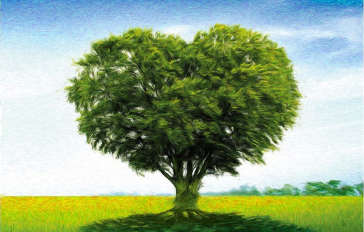 Летнее дерево для детей