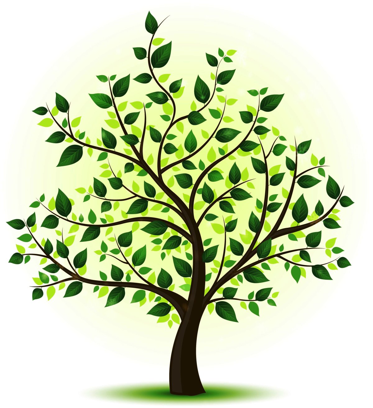 Дерево рисунок