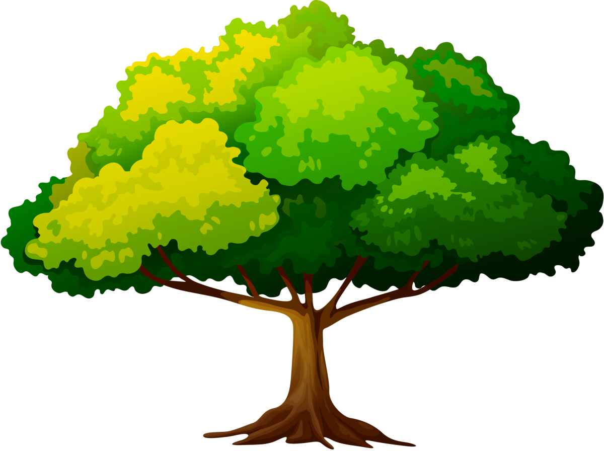 Дерево рисунок