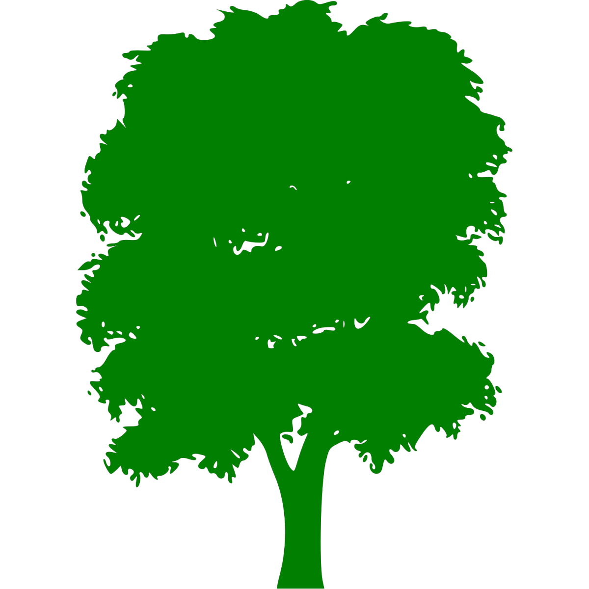 Дерево с большой кроной