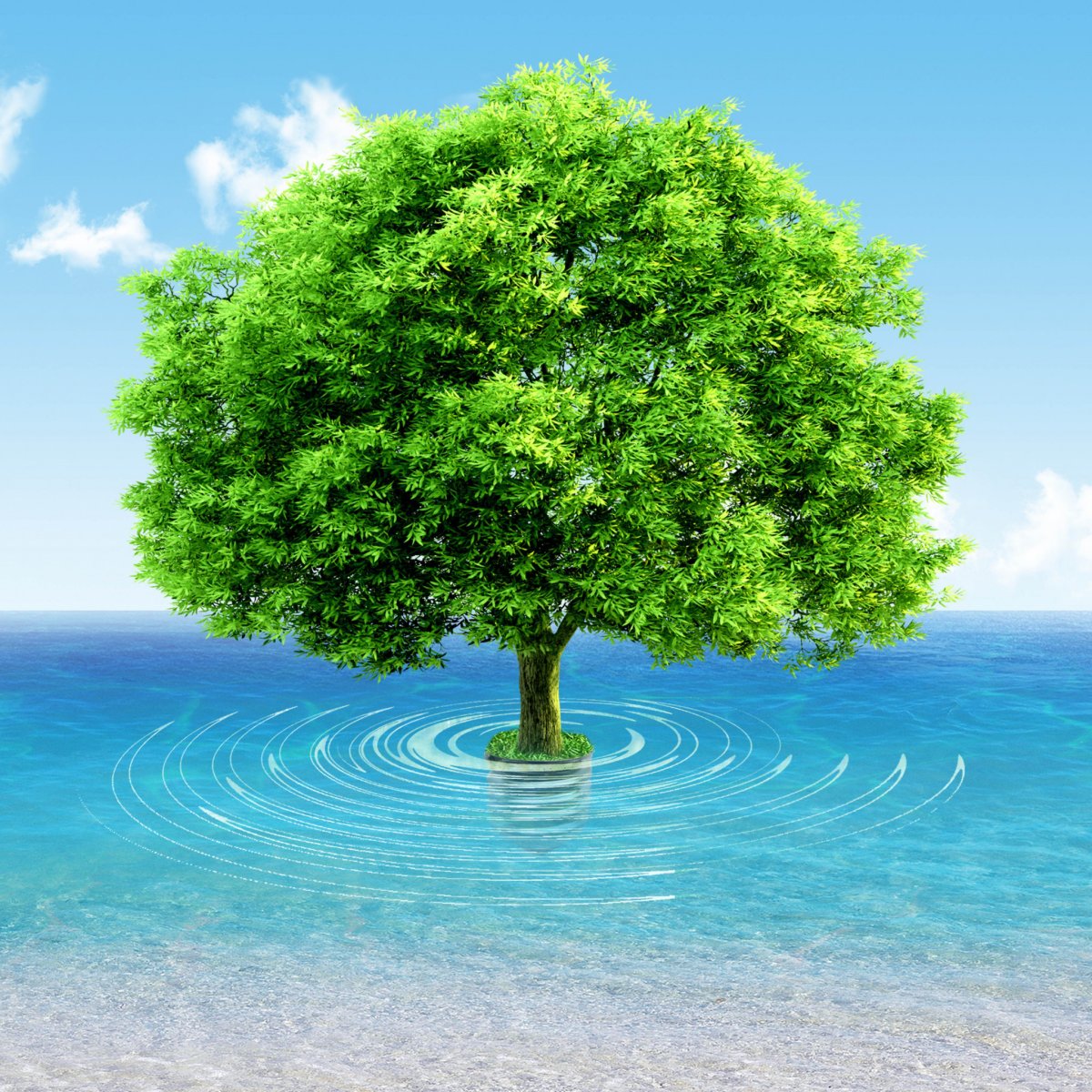 Нарисовать дерево