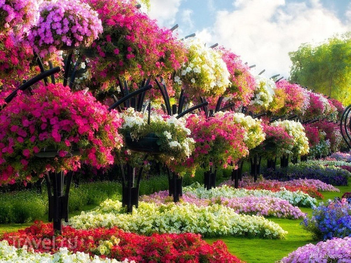 Цветочный сад