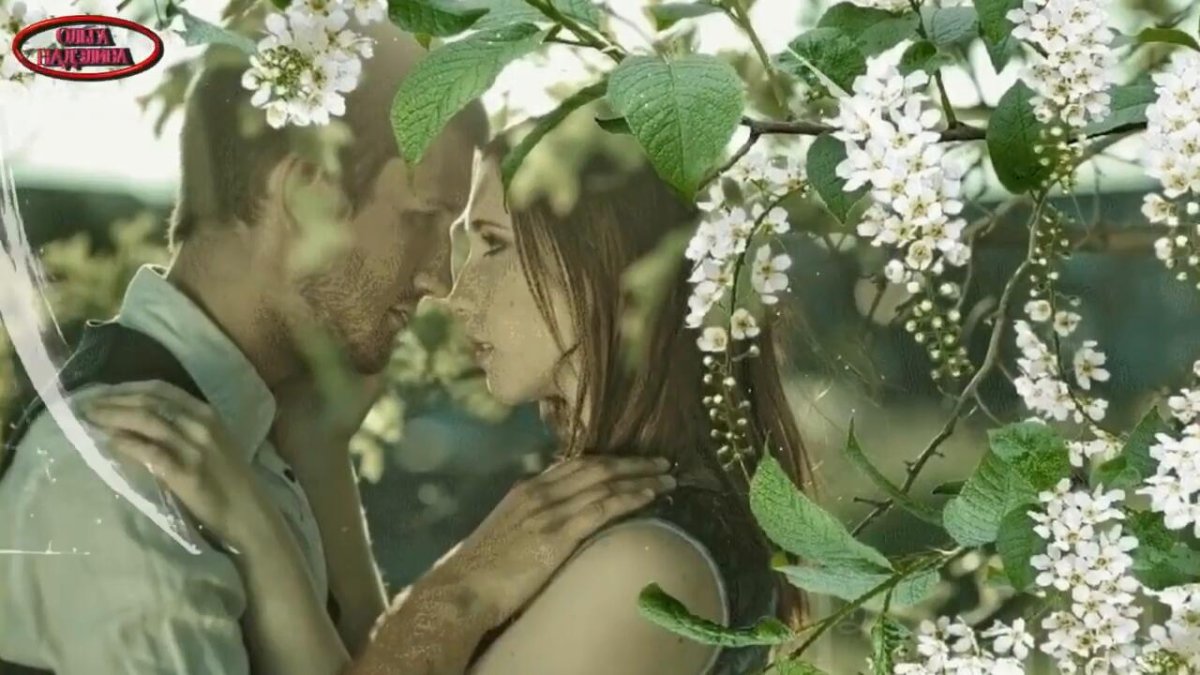 Влюбленные под черемухой ...