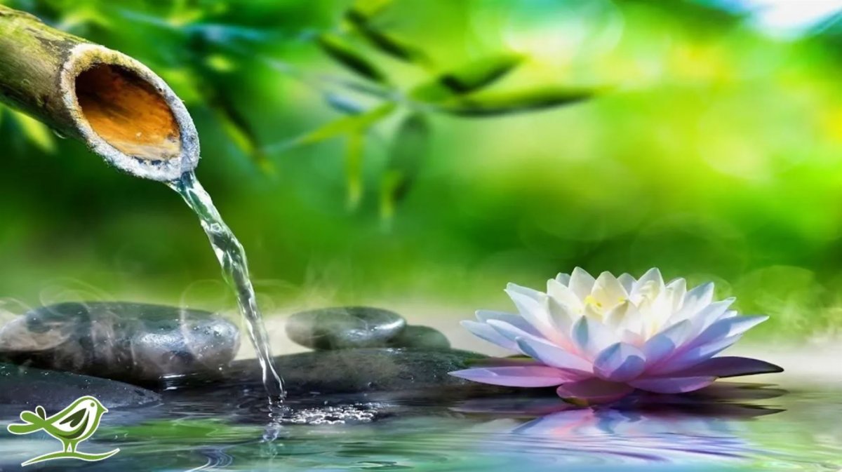 Релаксация вода