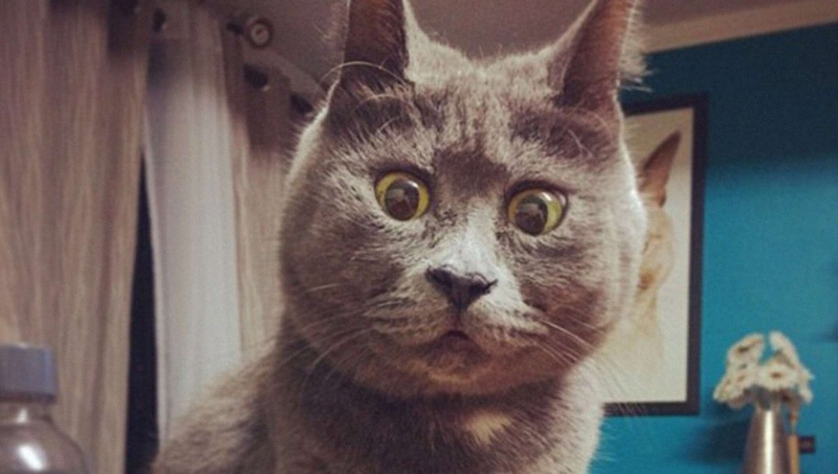 Сергей Зверев 2022