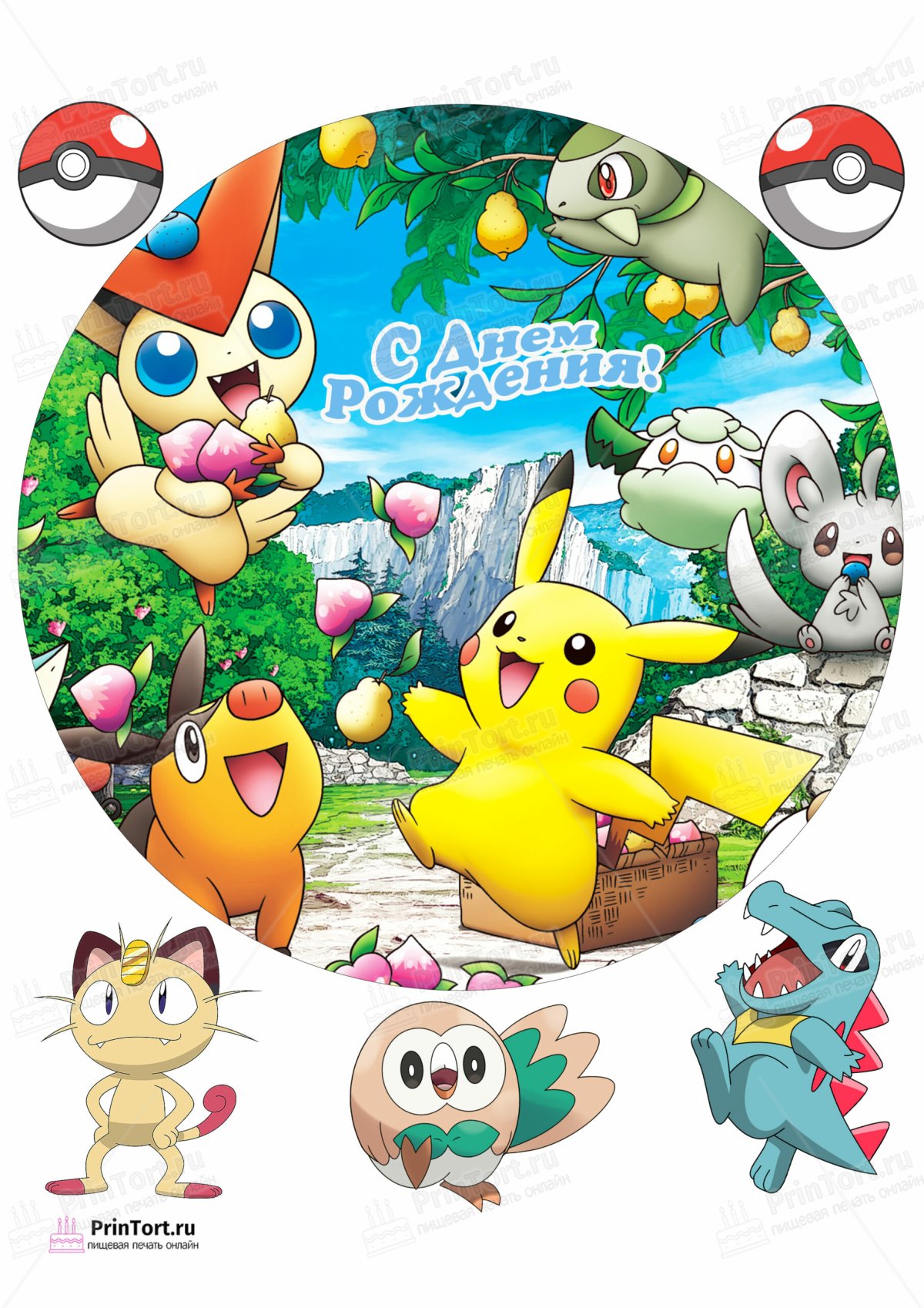 Пикачу в круге