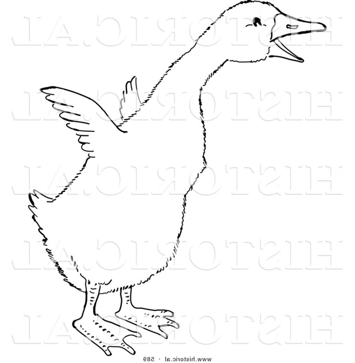Контур гуся для раскраски