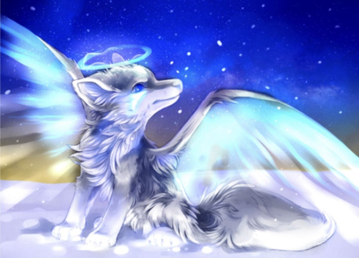 Симуран волчица