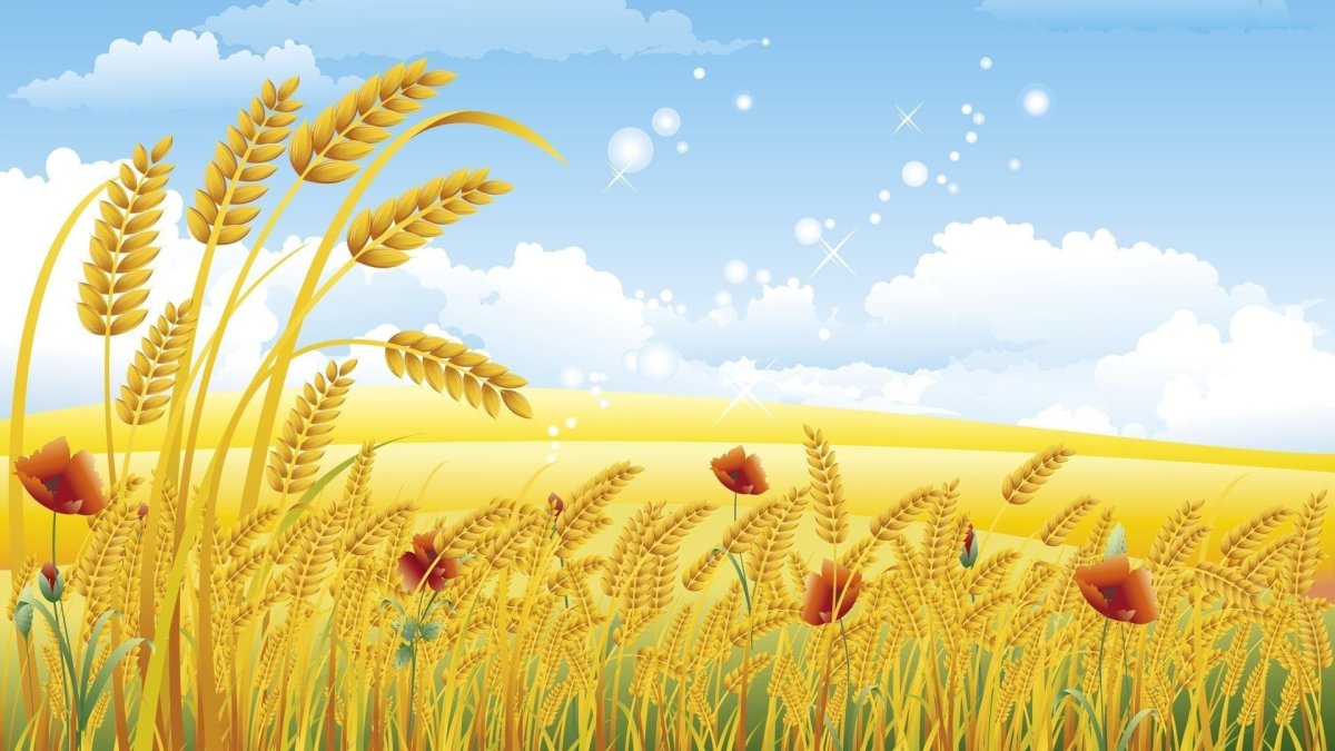 Дети в поле с колосьями