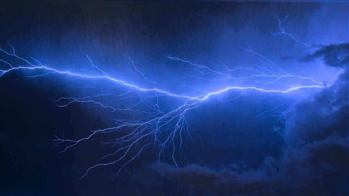 Молиния голубая