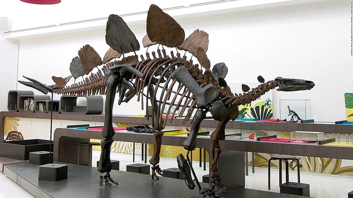 Дарвиновский музей Дино