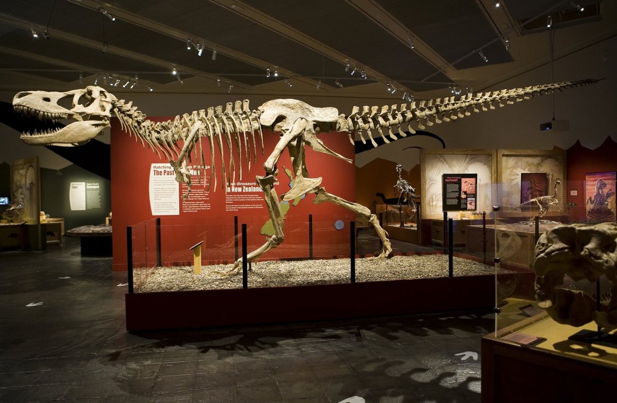 Национальный музей динозавров в Канберре