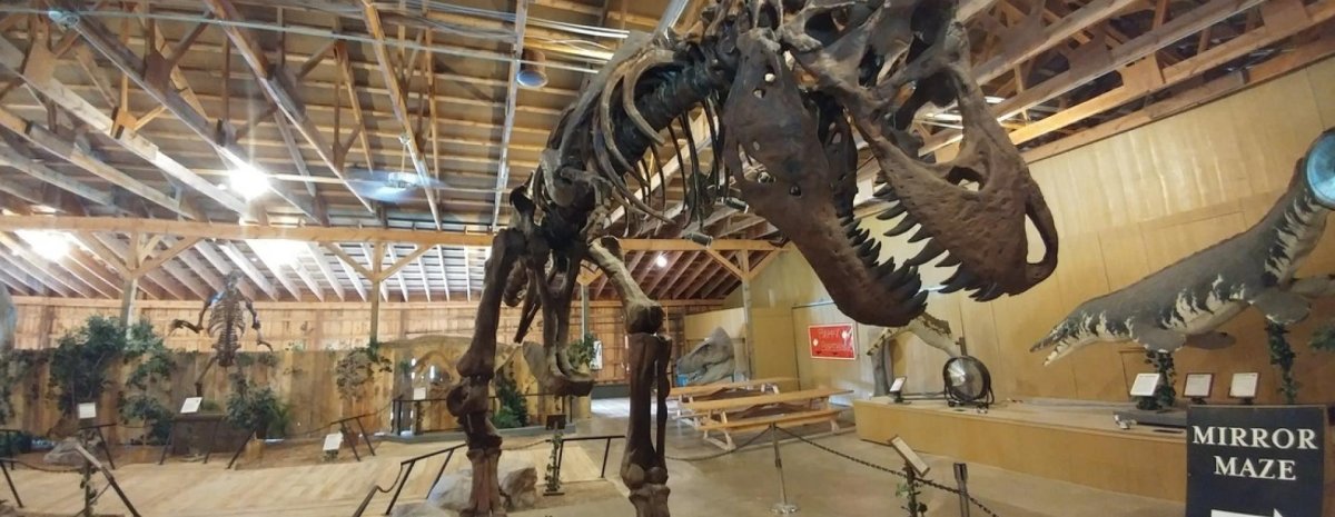 Зоологический музей музей с динозаврами в Москве