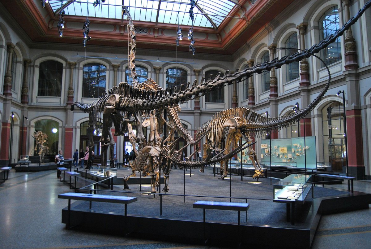 Музей естествознания Берлин динозавры