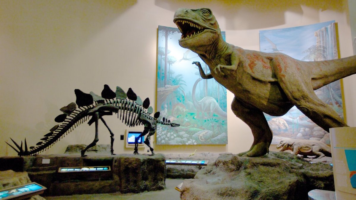 Fernbank Museum of natural History