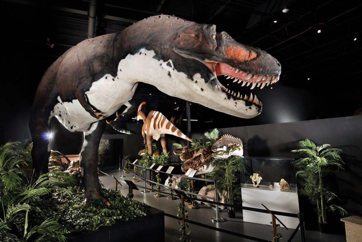 Музей динозавров в Цюрихе