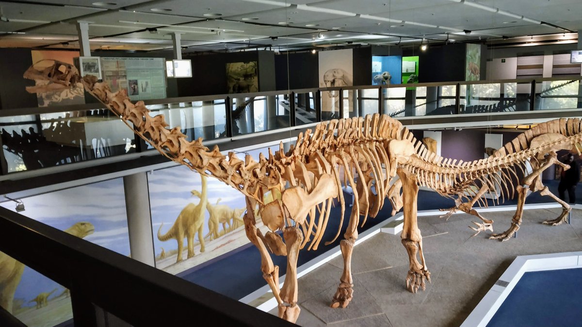 Музей динозавров в Уфе