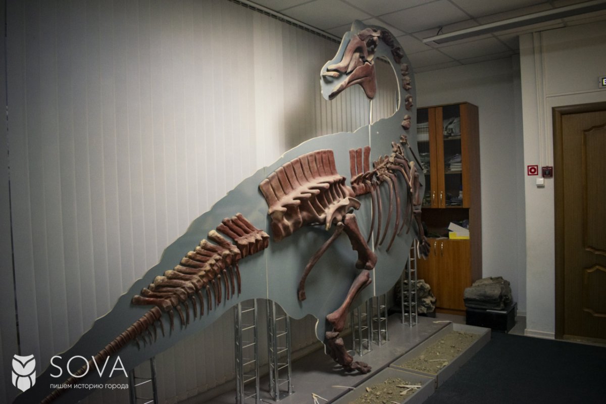 Динозавр Красноярский краеведческий музей