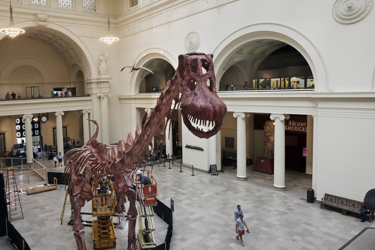 Сью Чикагский музей естественной истории