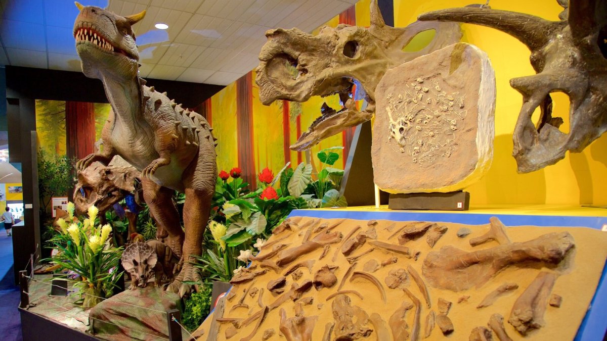 Палеонтологический музей в Санкт-Петербурге динозавры