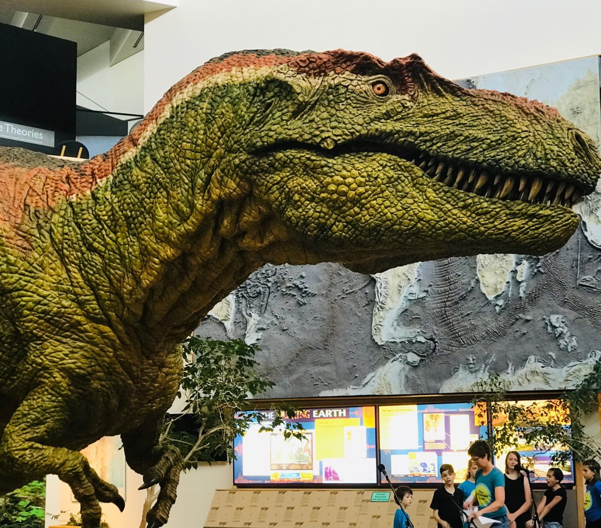 Буэнос Айрес музей динозавров