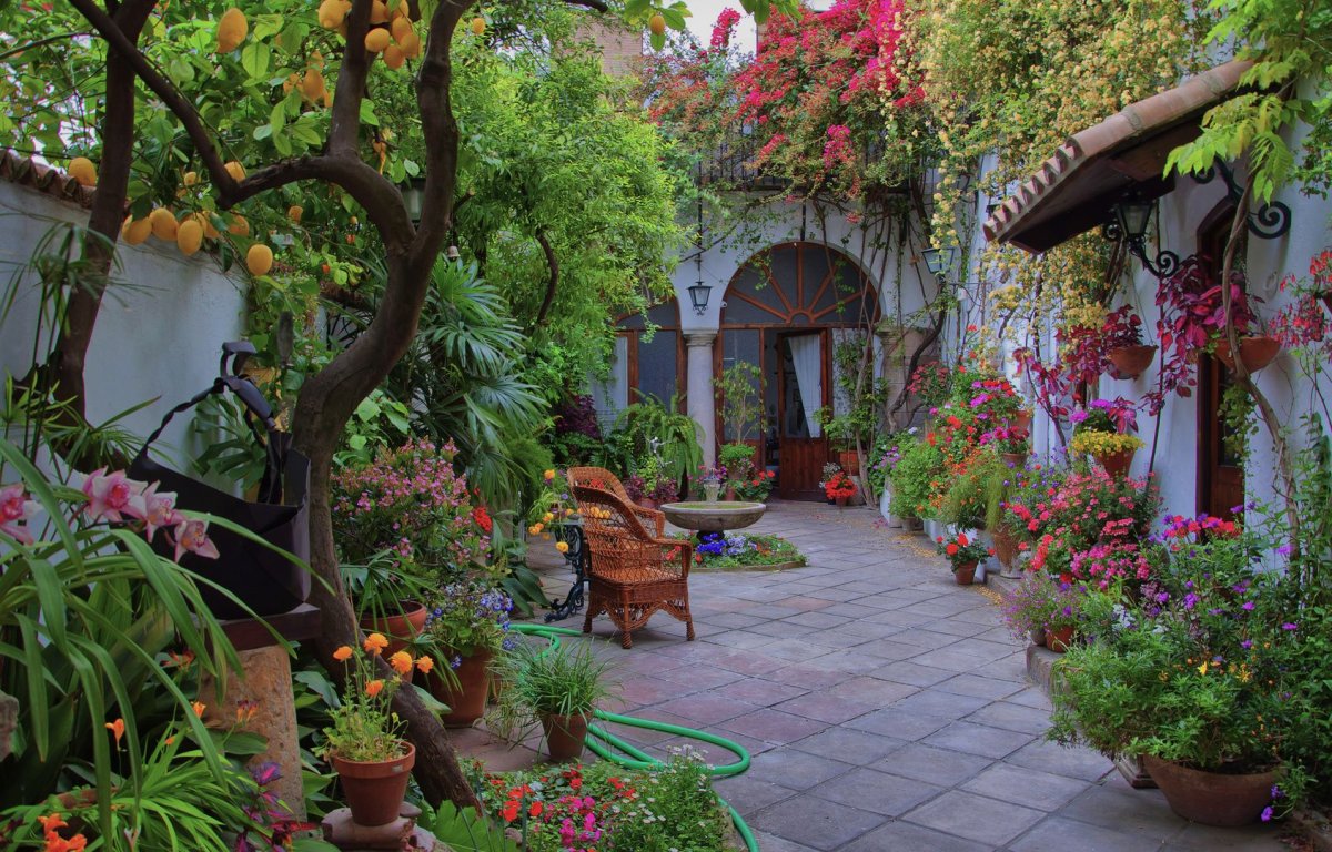 Патио внутренний дворик в саду Испании