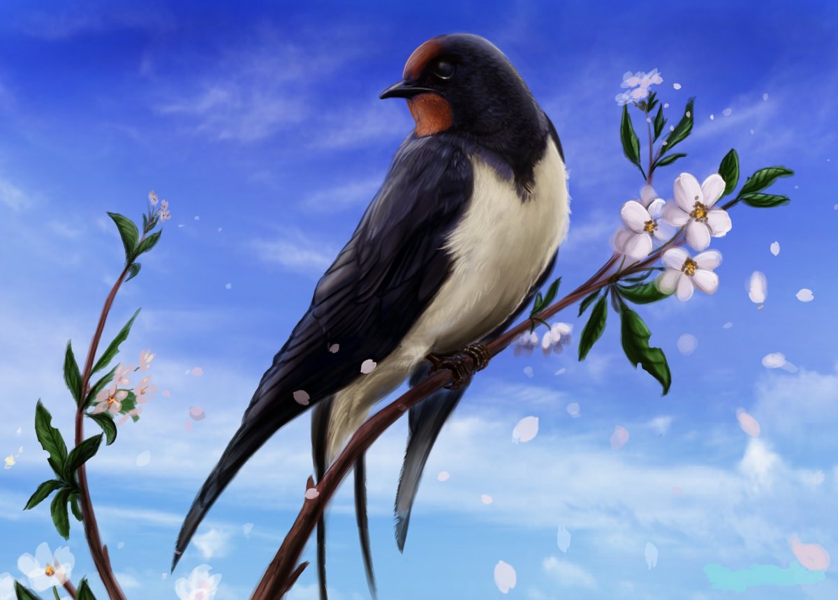 Птичка на ветке без размытого фона