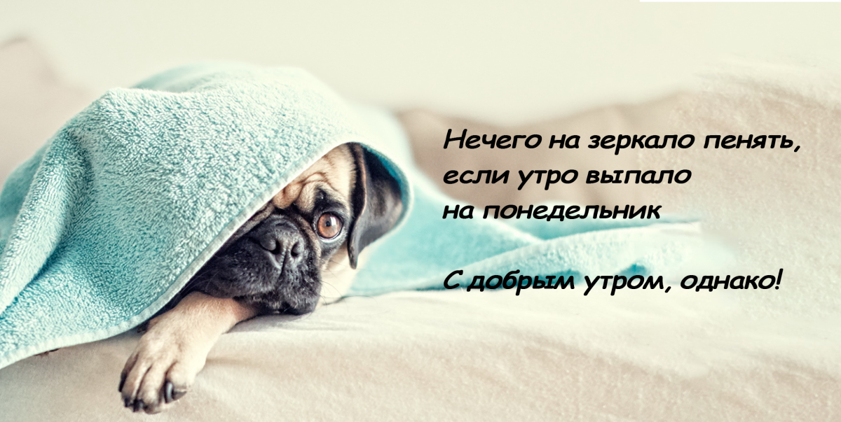 С добрым утром понедельника