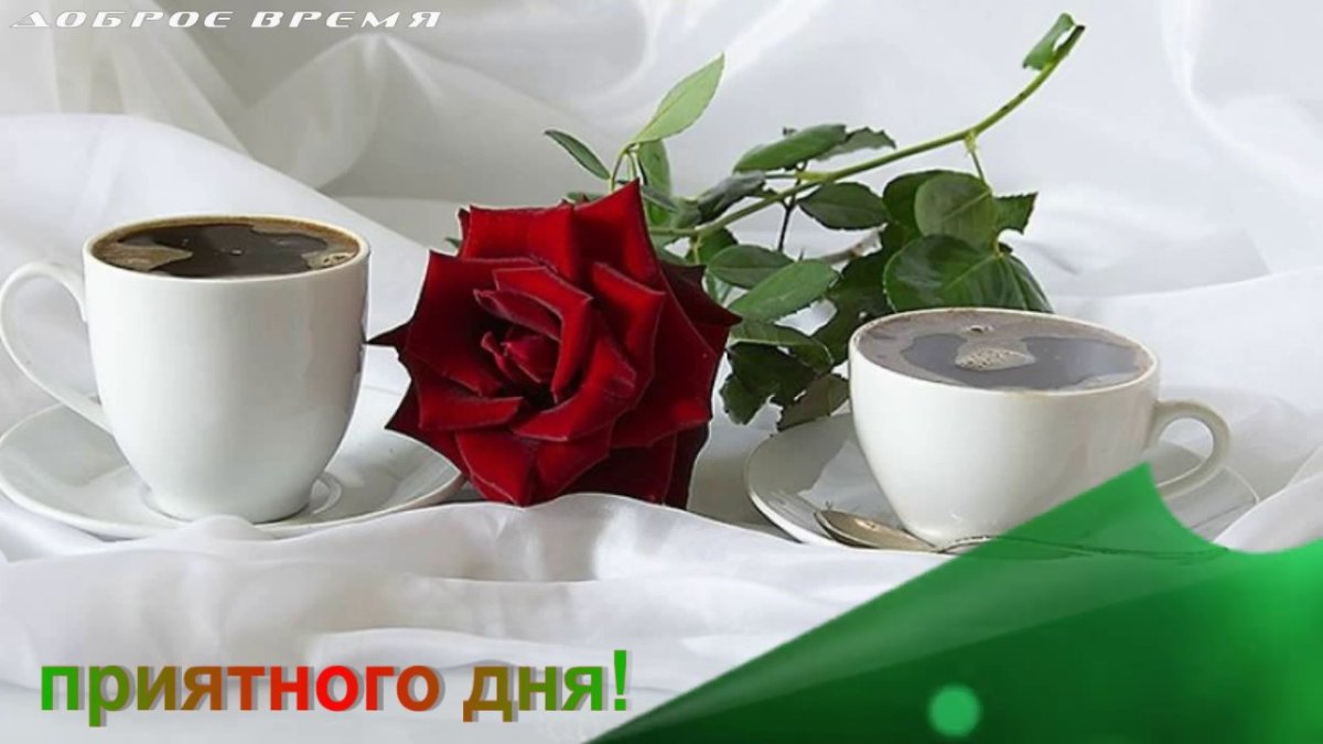 Утренняя мудрость