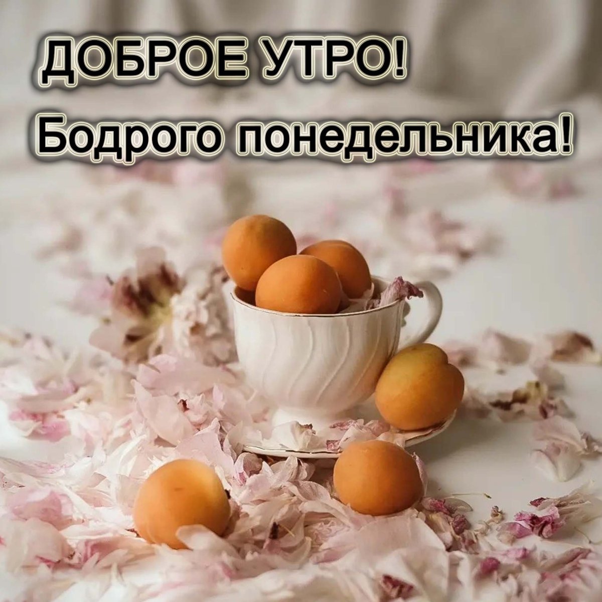 Доброе утро картинки