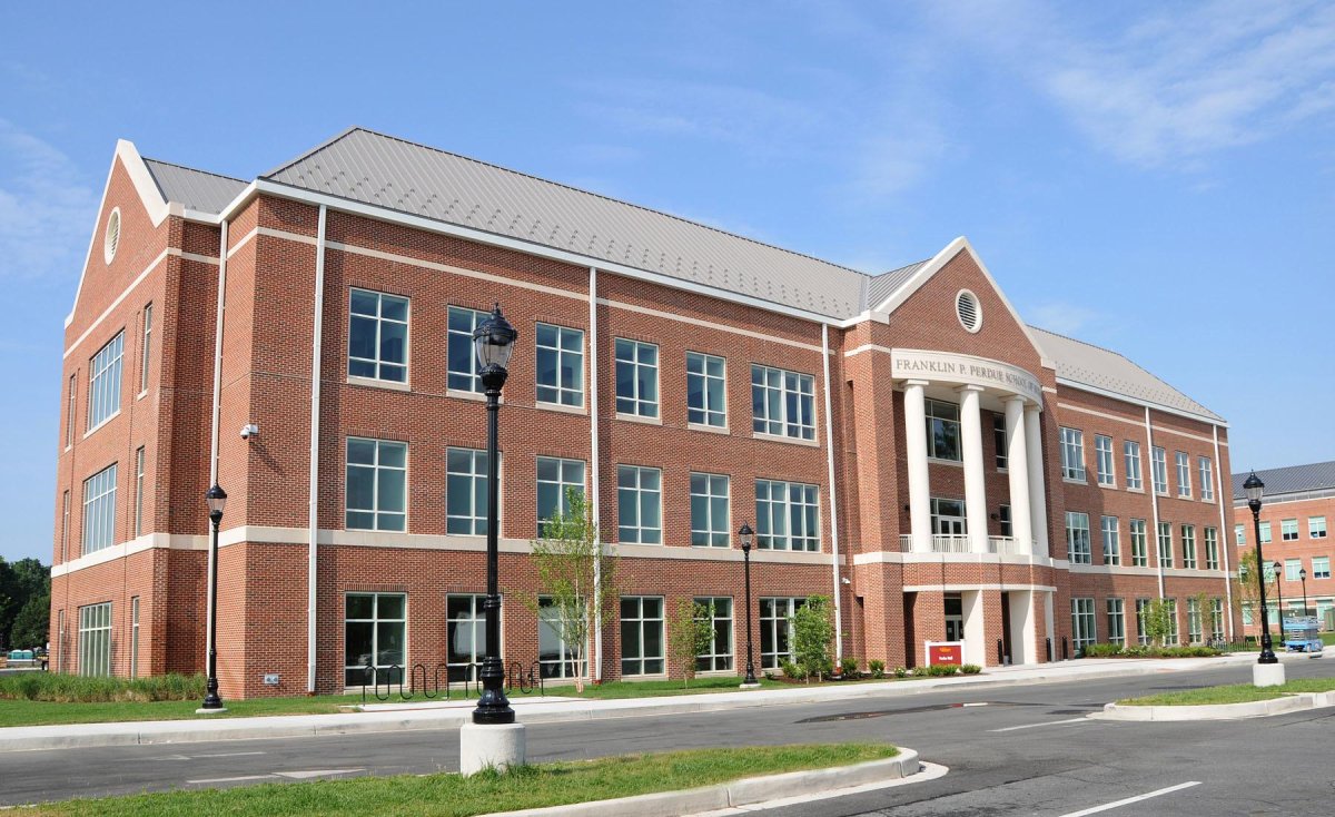 Университет Солсбери